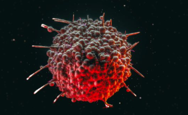 Aulos 的选择性抗体超越了现有 IL-2 治疗剂和模拟物的限制 中网时尚,stylechina.com