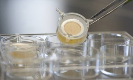 人类皮肤取代了一些动物试验，加快了药物开发 中网时尚,stylechina.com