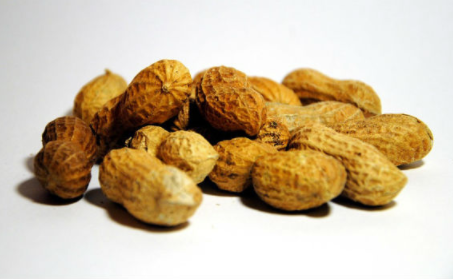 DBV继续为Viaskin花生而战，在FDA拒绝后启动新的III期研究 中网时尚,stylechina.com