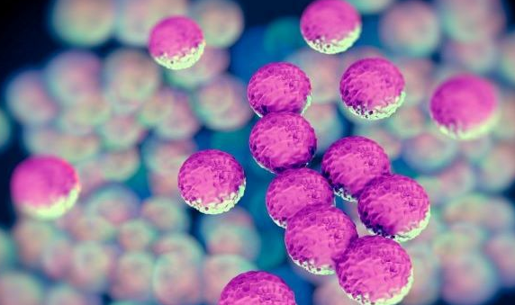 耐药细菌仅次于 COVID-19 成为感染致死的主要原因 中网时尚,stylechina.com