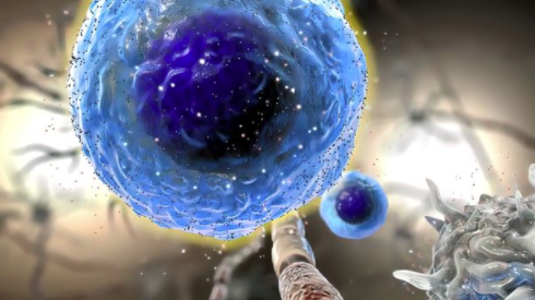 OncoResponse IDs 精英癌症响应者的抗体使 IO 更有效 中网时尚,stylechina.com