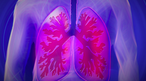 小细胞肺癌 (SCLC) 治疗市场:对个性化药物的需求增加以推动市场 中网时尚,stylechina.com