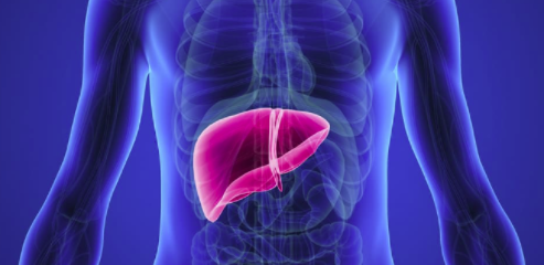 肝病治疗市场：由于药物的副作用推动市场肝病患病率增加 中网时尚,stylechina.com